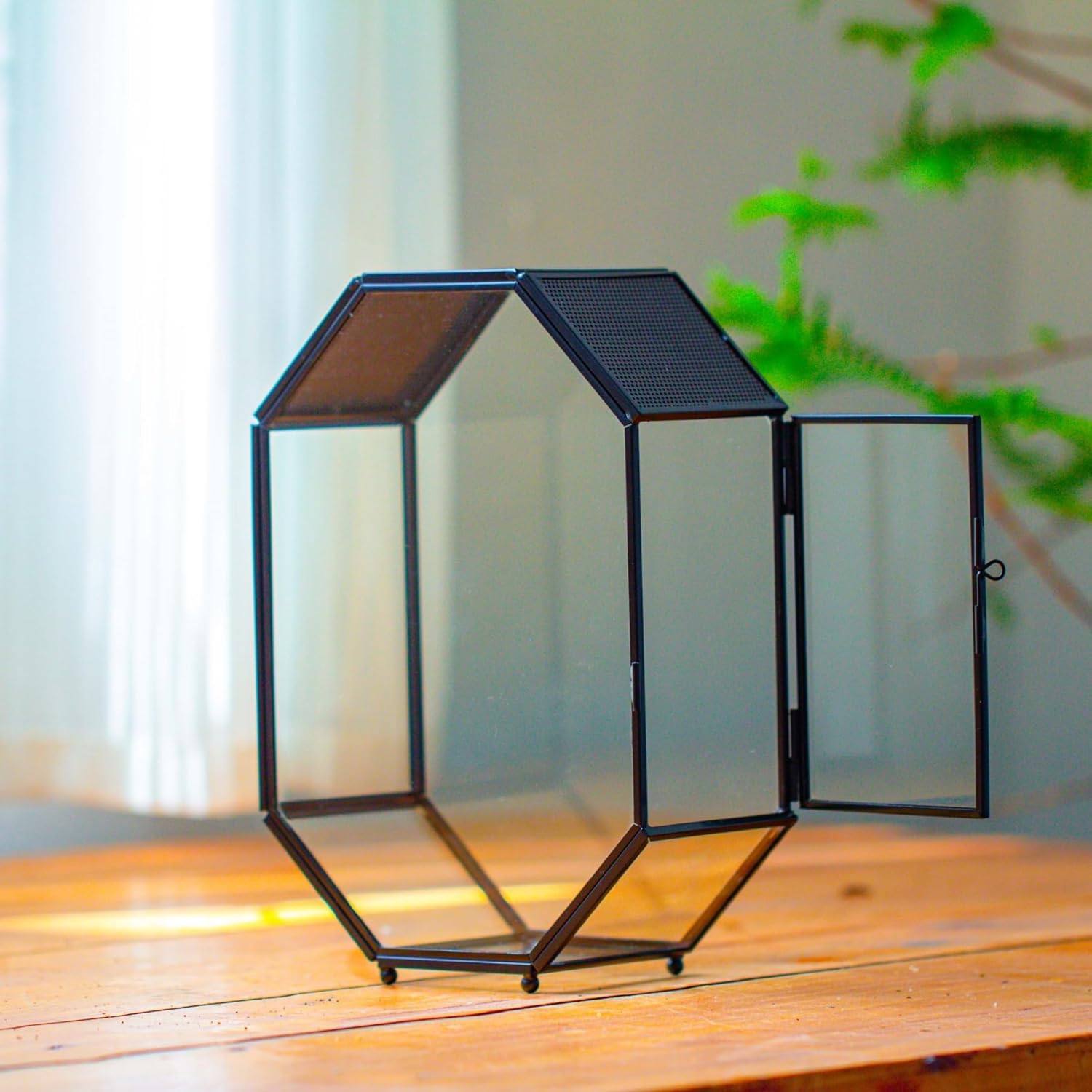 NCYP Glass Enclosure Terrarium with Mesh and Door for Jumping Spiders, Snails, Insects - Octagon Shape Small Succulents Terrarium 6.2 x 3.1 x 8.7 inches, Black Tabletop Decor (Plants Not Include) - FurryFun