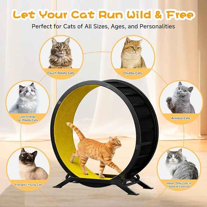 GTRACING Cat Wheels, 40" Diameter, Large Cat Exercise Wheel for Indoor Cats cat Treadmill Metal with Detachable Carpet & Teaser/Stickers, Ultra-Quiet Scroll Wheel with Latch, Safe and Stable, Yellow