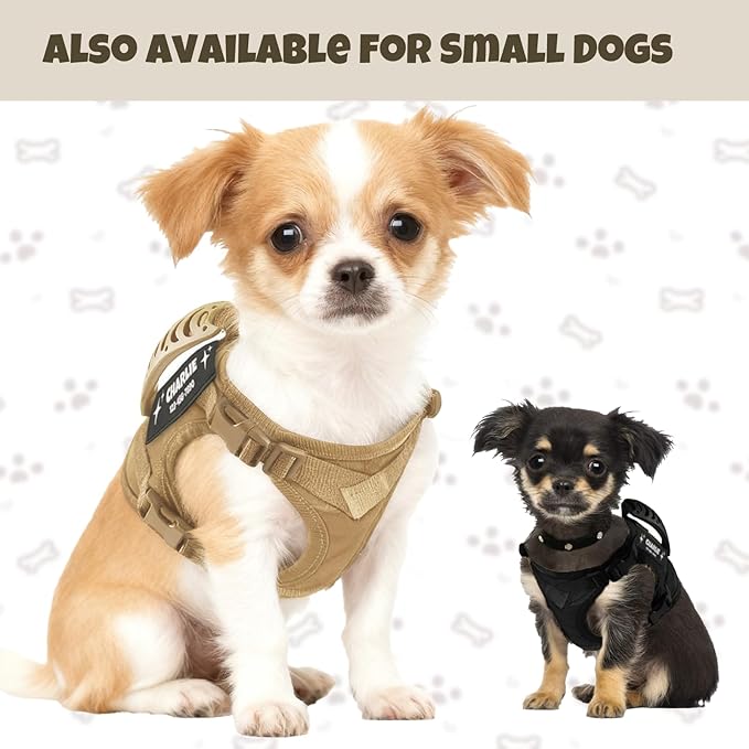 Cat Harness and Leash Escape Proof Tactical Cat Harness with Custom Patches Adjustable Soft Vest for Walking & Training Comfortable Outdoor Gear Fits Small Medium Large Cats (8-20 lbs)