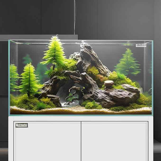 LYPHARD AQUARIUMS 21 Gallon Rimless Aquarium Tall Tank, Ultra Clear Low Iron Big Fish Tank, L15.8×W15.8×H19.7 Glass Thickness 6mm with EVA Foam Leveling Mat