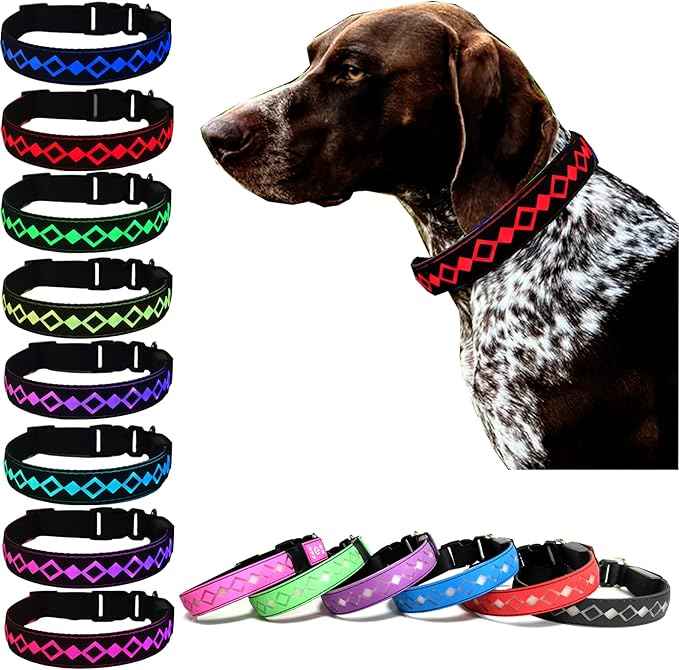 LED Dog Collar with AirTag Holder and Custom ID Tag, 15 Light Modes, Waterproof, Multiple Colors (Black, L(15.7-19.7"))