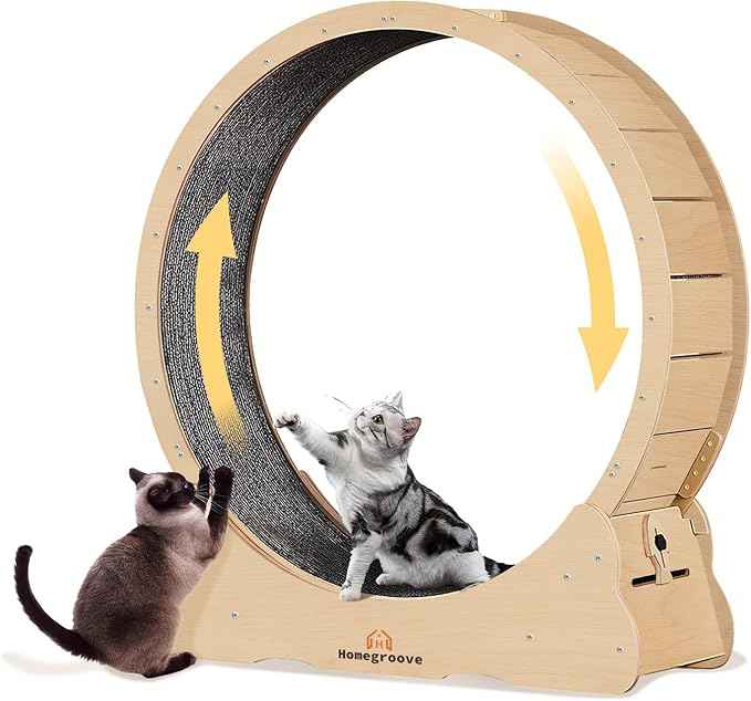 Homegroove Cat Exercise Wheel for Indoor Cats, 46" Large XL Cat Running Treadmill Wheel with Carpeted Runway for Kitty’s Longer Life, Natural Wood Color(XL)