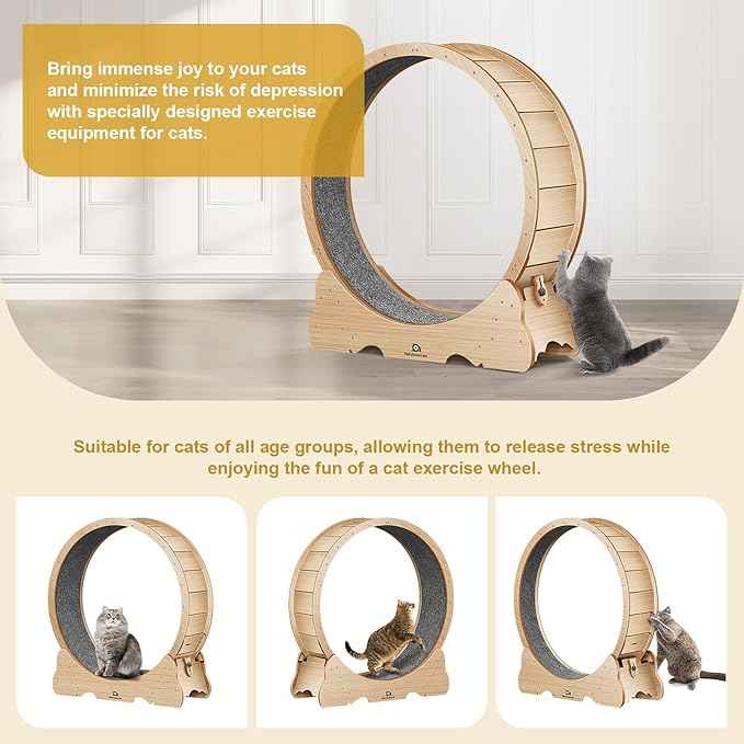 Cat Wheel, 53" XXL Large Cat Treadmill for Indoor Pets, Cats Exercise Running Wheel with Detachable Carpet, Quiet and Sturdy, Suitable for Most Cats Running/Walking/Training