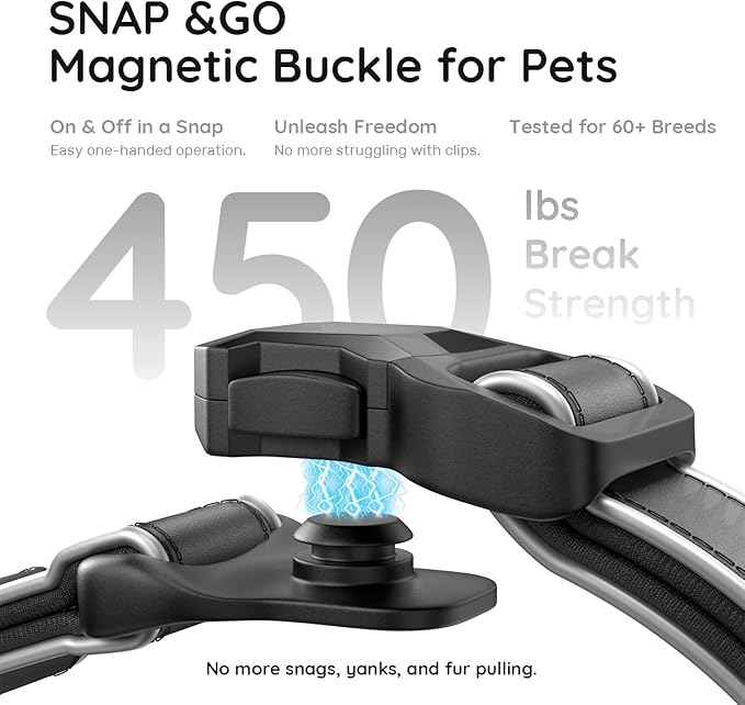 WhoseID Premium Leather Dog Collar - Waterproof AirTag Dog Collar | Magnetic Buckle Heavy Duty Collar | Medium Reflective Dog Collar with AirTag Holder