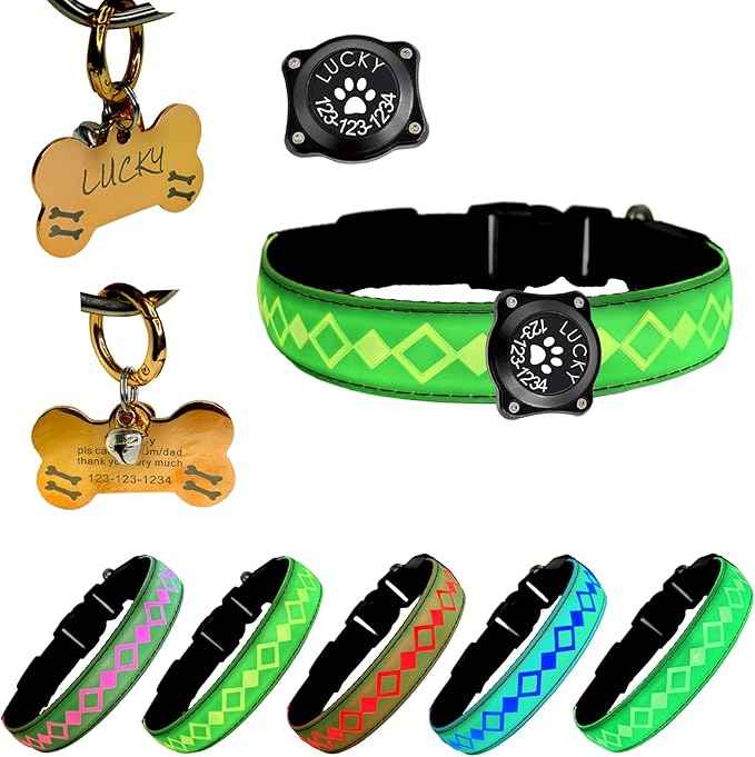 LED Dog Collar with AirTag Holder and Custom ID Tag, 15 Light Modes, Waterproof, Multiple Colors (GREEN, M(11.8-15.7"))