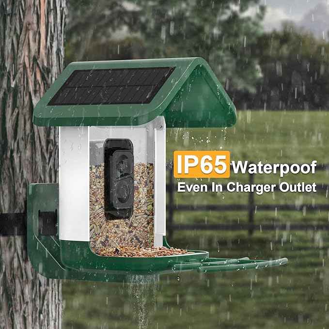 Bird Feeder with Camera Solar Powered : Smart Camera Bird Feeder 2K Live Feed Cam for Outdoor Backyard - Ai Identify Auto Capture Videos Pictures, Gifts for Birdlover Mom Dad, 2.4GHz WiFi