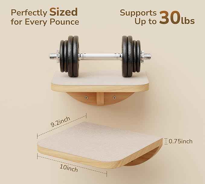 Cat Wall Shelves and Cats Window Perch – Natural Wood 4-Piece Set with Foam-Padded Curved Bed and Felt Steps, Space-Saving Wall Mounted Design