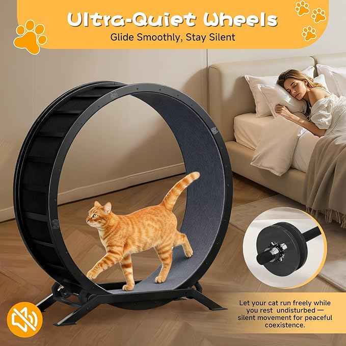 GTPLAYER Cat Wheels, Large Cat Exercise Wheel for Indoor Cats, 40"Diameter cat treadmill Detachable Carpet & Teaser, stickers, Ultra-quiet scroll wheel With latch, Suitable for Most Cats, Metal, Gray