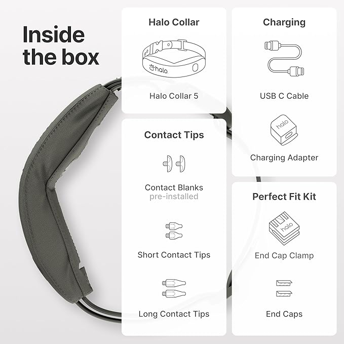 Halo Collar 5 Wireless Dog Fence & GPS Dog Collar, Keep Your Dog Safely Contained Outdoors with App-Controlled Boundaries and Real-Time Tracking, One Size, Orchid