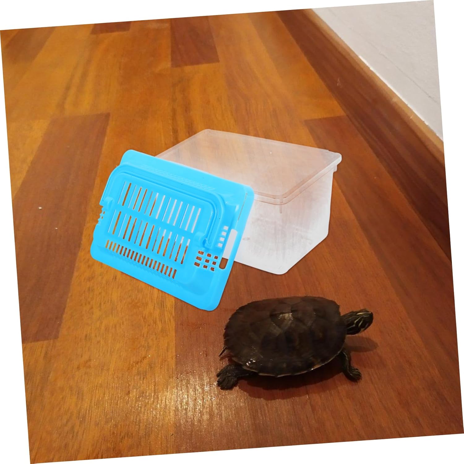 Transparent Plastic Turtle Fish Tank, Reptile Carrier, Feeding Tank, Glass Containers, Amphibia Container, Terrarium, Hamster Cages, Reptiles Commodity Mini - FurryFun