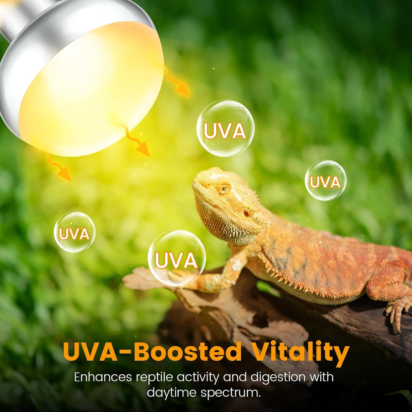 Dual Reptile Lamp Fixture with 100W Daytime Heat & 100W Nighttime Infrared Heat Bulbs, 2 Independent Switches, Reptile Heat Lamp Combo Pack - No UVB