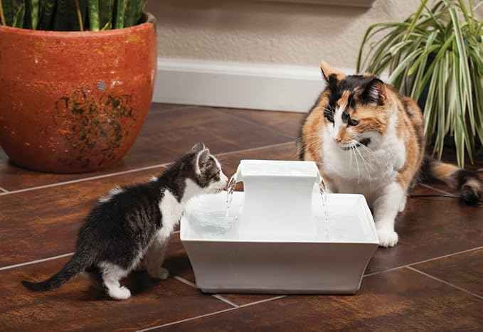 PetSafe Drinkwell Pagoda Fountain - Hygienic Ceramic Continuous Flowing Fountain - Elevated Upper Bowl & Double Free-Falling Stream Design - Minimalist Pet Hydration Station - 70 oz Capacity