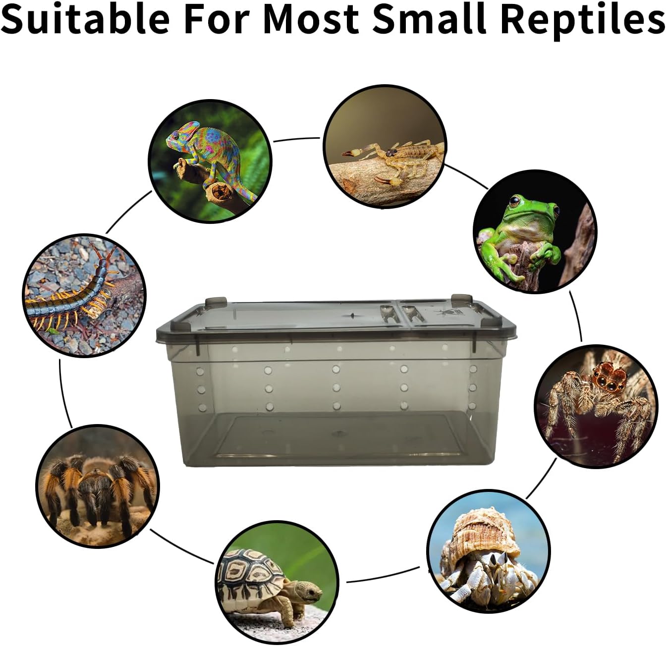PINVNBY 8 PCS Reptile Feeding Box Portable Snake Breeding Box Lizard Cage Hatching Container 7.48"x4.92"x2.95" Transparent Plastic Pet Houses for Spider Scorpion Gecko Insect Tortoise Treefrog(Black) - FurryFun
