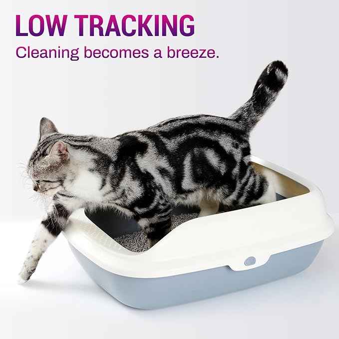 Ducksky Tofu Cat Litter Fast Clumping 5in1, Natural Plant-Based flushable Lightweight tofu Litter for Kitty, Effective Odor Control,unscented pellets, 99% Dust- Free,Low Tracking,(6.6LB x 2 Pack)