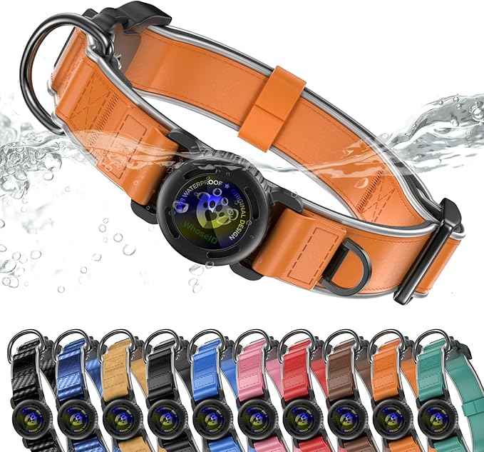 WhoseID Premium Leather Dog Collar - AirTag Dog Collar | Fur-Safe Magnetic Buckle | IPX8 Waterproof Reflective Small Dog Collar with AirTag Holder