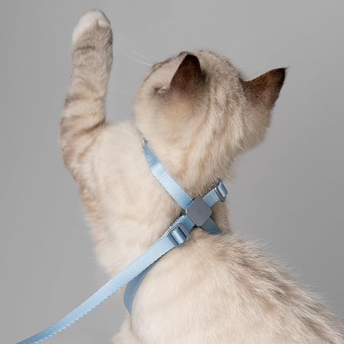 Cat Harness Escape-Proof Anti-Choking Adjustable Nylon Harness Lightweight with Anodized Aluminum Buckle, Ideal for Cats Outdoor Walking Training, IDA Award (Midnight Black, S (13.8"))