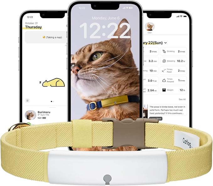 Health Tracker for Cats - Smart Cat Collar with Safety Breakaway Buckle for Indoor Cats, Wellness Alerts, Real-time Monitoring (White×Yellow,L)