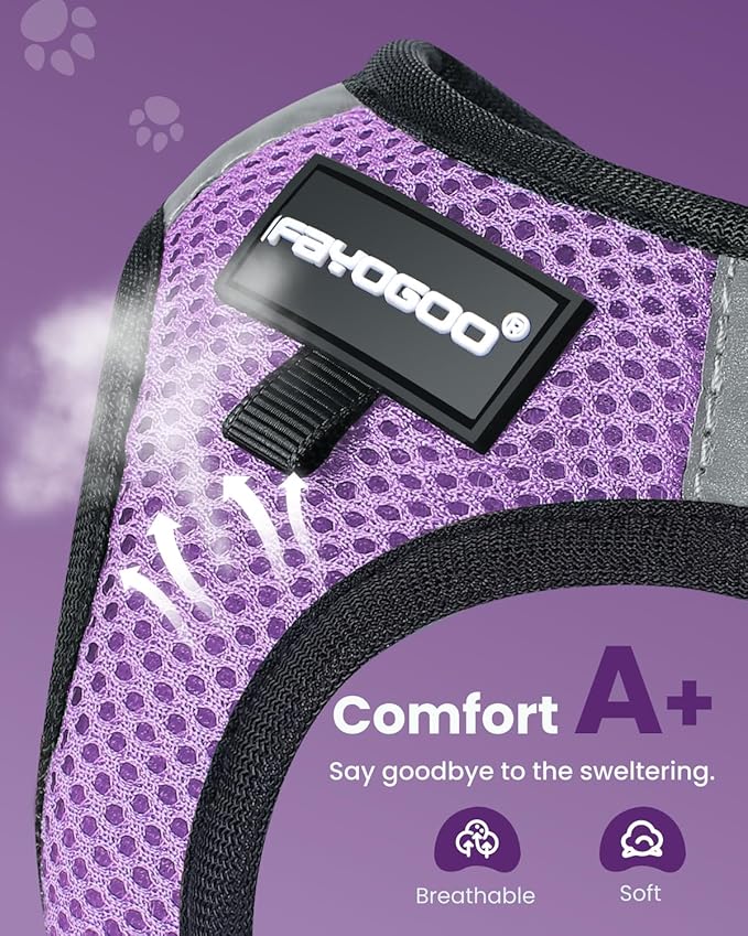 FAYOGOO Cat Harness, Cat Leash and Harness Set for Walking Escape Proof, Harness for Small Cats/Small Dogs, Large Kitten/Puppy Harness and Leash, Harness for Cats S-XXL(Modern Violet, X-Large)