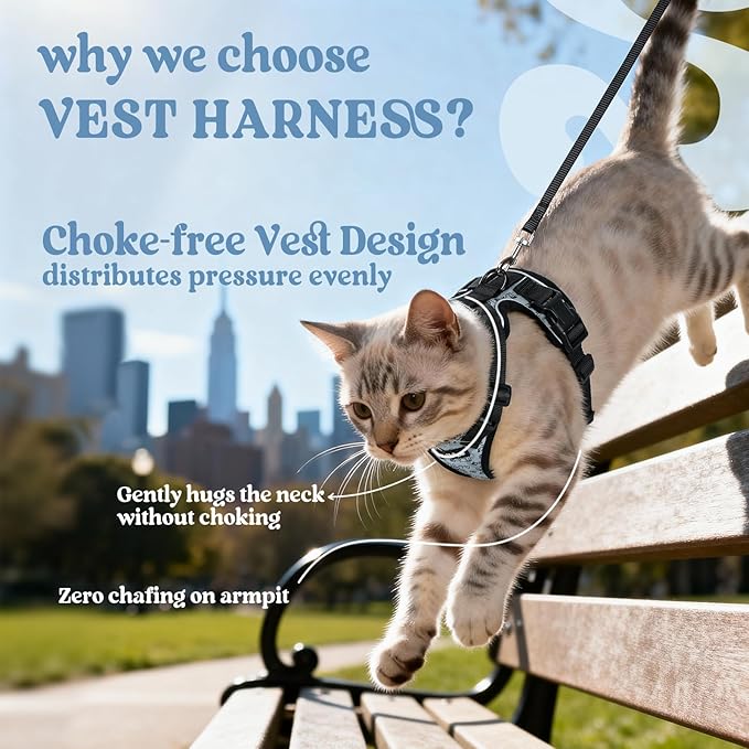 rabbitgoo Cat Harness and Leash for Walking, Escape Proof Soft Adjustable Vest Harnesses for Cats, Easy Control Breathable Reflective Strips Jacket, Doodle Gray,XXS