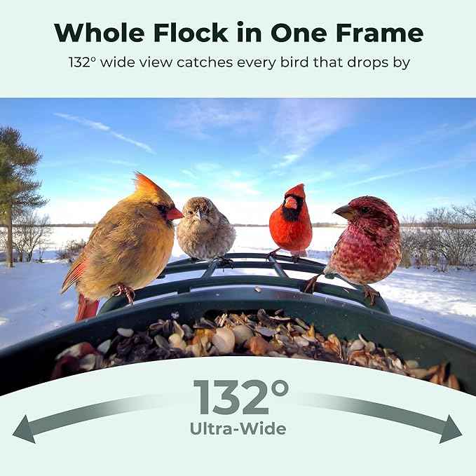 Solar Smart Bird Feeder with Camera, AI Bird Species Identification, 8MP Photos, 4K UHD Video Live Stream Wild Bird House Feeders for Outdoors, Bird Watching Gifts for Bird Lovers, Green