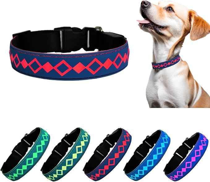 LED Dog Collar with AirTag Holder and Custom ID Tag, 15 Light Modes, Waterproof, Multiple Colors (BLUE, L(15.7-19.7"))