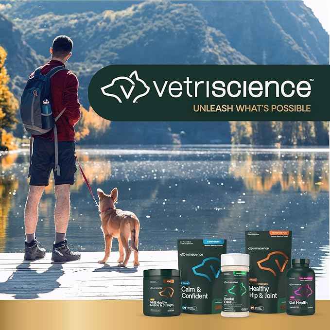 VetriScience Healthy Mouth Dog Dental Powder, 2 Pack – Helps Reduce Plaque & Tartar Buildup, Support Clean Teeth & Fresh Breath, Vet-Formulated Oral Care Powder for Dogs & Cats, 2 x 4.2 oz