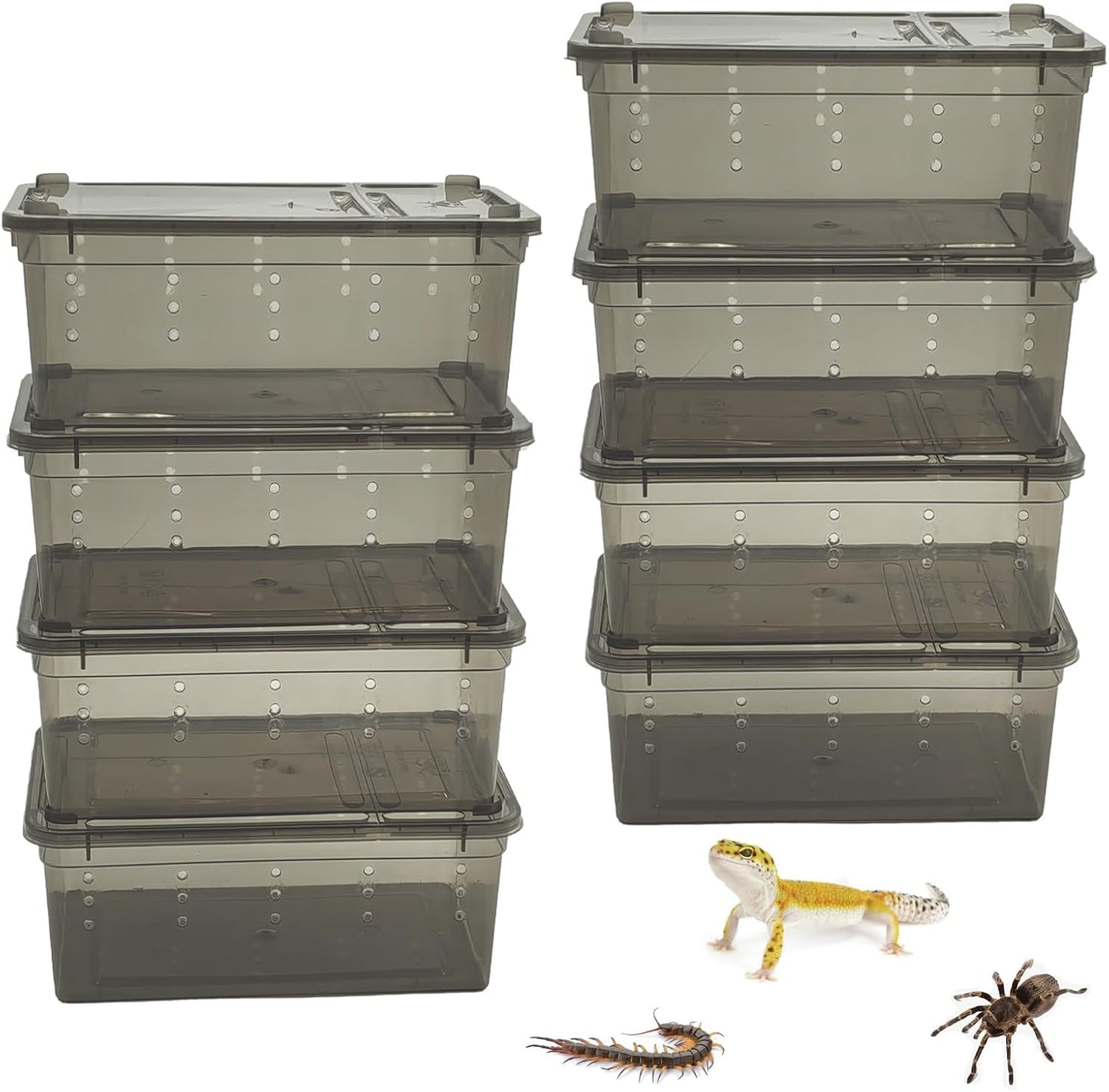 PINVNBY 8 PCS Reptile Feeding Box Portable Snake Breeding Box Lizard Cage Hatching Container 7.48"x4.92"x2.95" Transparent Plastic Pet Houses for Spider Scorpion Gecko Insect Tortoise Treefrog(Black) - FurryFun