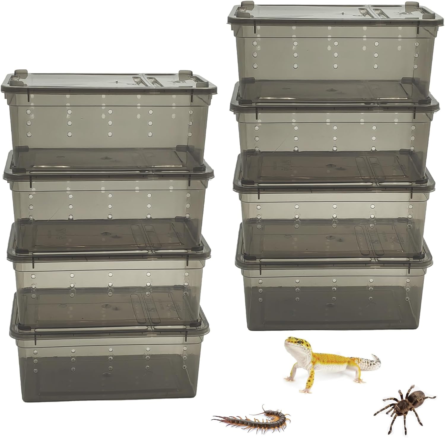 PINVNBY 8 PCS Reptile Feeding Box Portable Snake Breeding Box Lizard Cage Hatching Container 7.48"x4.92"x2.95" Transparent Plastic Pet Houses for Spider Scorpion Gecko Insect Tortoise Treefrog(Black) - FurryFun