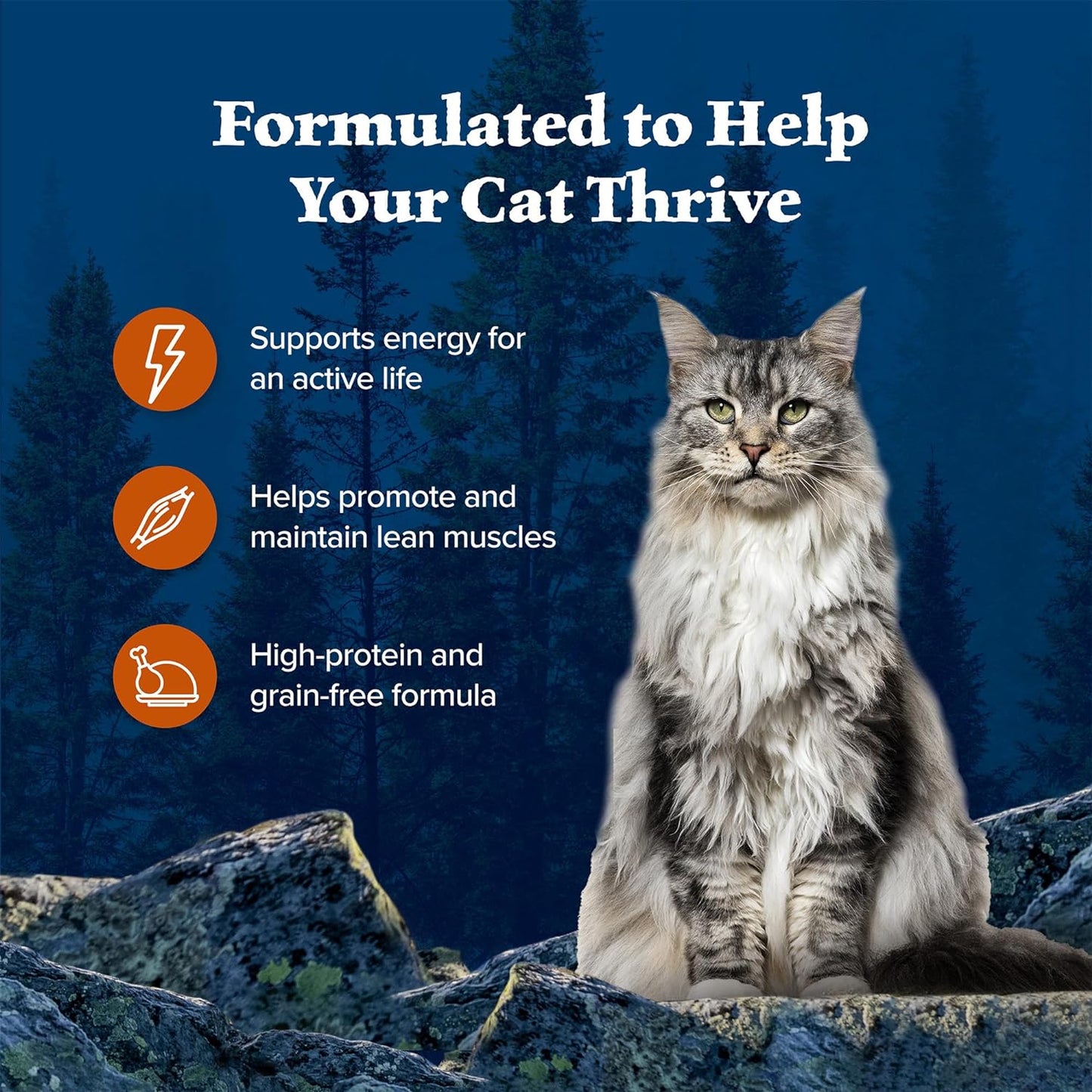 Blue Buffalo Wilderness Wild Delights Meaty Morsels Wet Cat Food, High-Protein & Grain-Free, Made with Natural Ingredients, Chicken & Turkey Recipe in Tasty Gravy, 3-oz. Cans (24 Count)