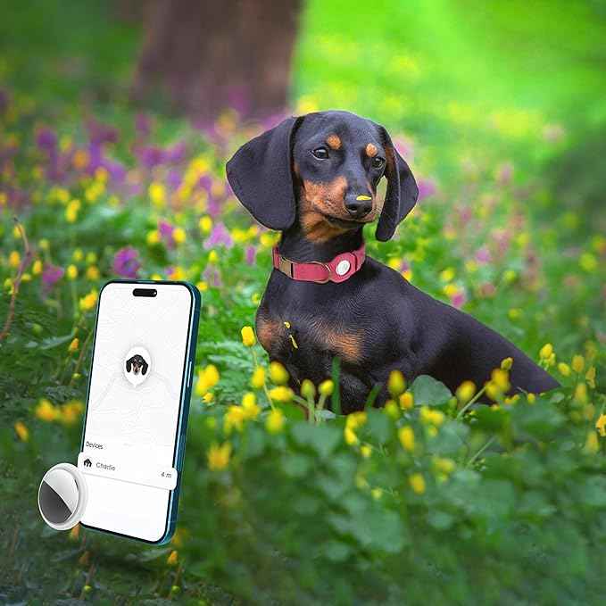 AirTag Dog Collar - Genuine Leather Dog Collar with Apple AirTag Holder and Metal Buckle - Smart GPS Tracking Pet Collars (Pink, M, 14"-18" Neck Fit)