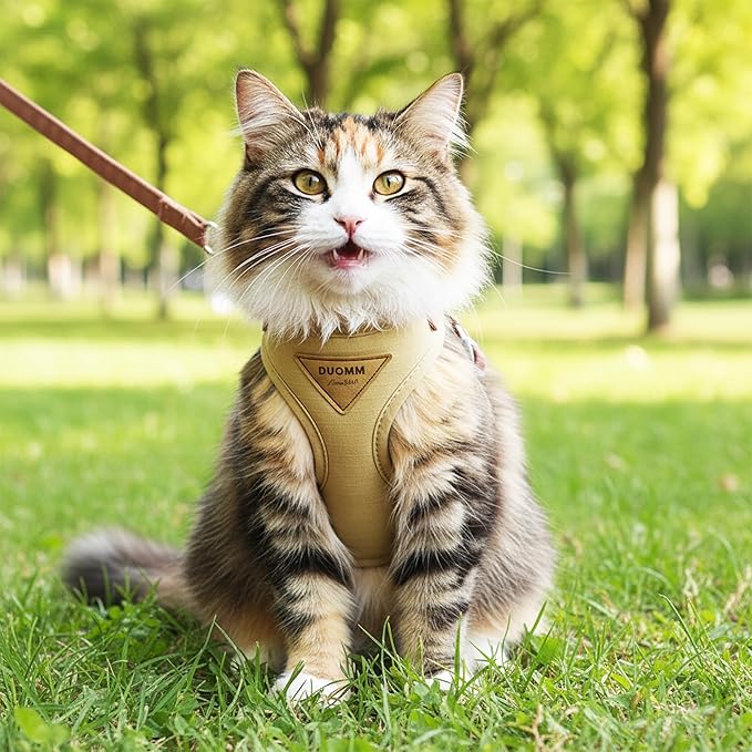 Escape-Proof Cat Harness and Leash Set - Adjustable and Comfortable - Ideal for Walking Cat Outdoors - Fits Small Dogs, Kittens, Medium, and Large Cats (Beige, M)