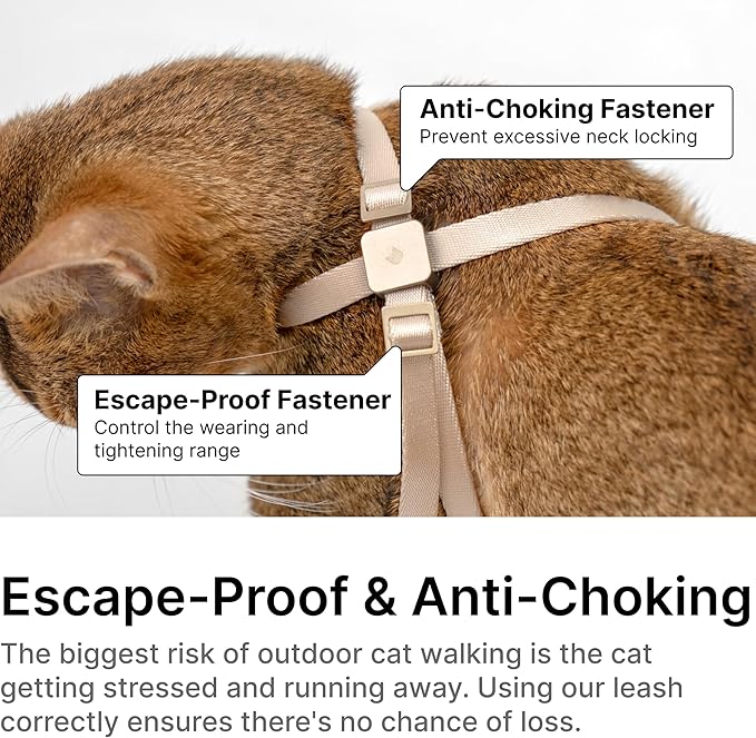 Cat Harness Escape-Proof Anti-Choking Adjustable Nylon Harness Lightweight with Anodized Aluminum Buckle, Ideal for Cats Outdoor Walking and Training, IDA Award (Vivid Red, M (17.7"))
