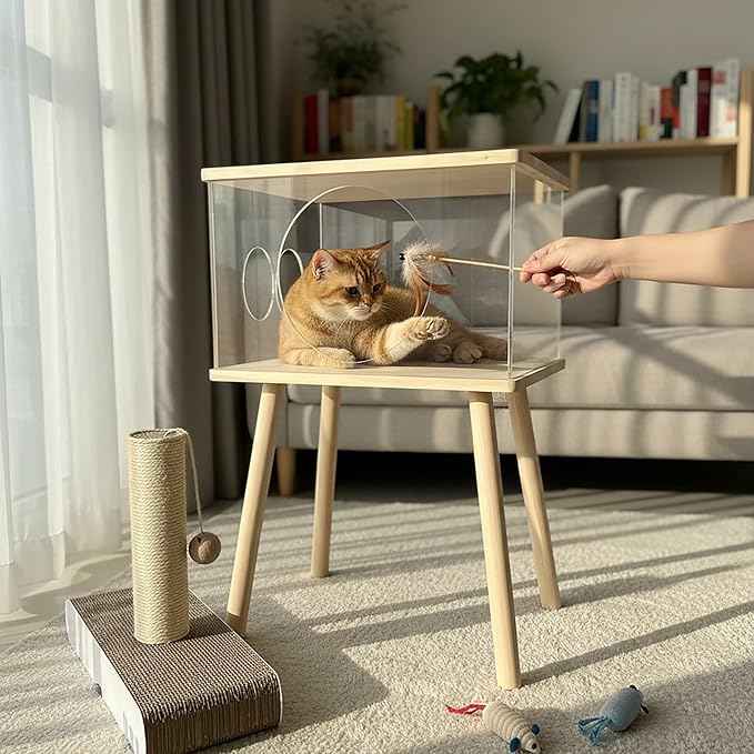 Cat Bedside Table with Acrylic Guardrail | Modern Cat & Dog Bed | Multifunctional Pet Bedside Cabinet | Cat Beds for Indoor Cats