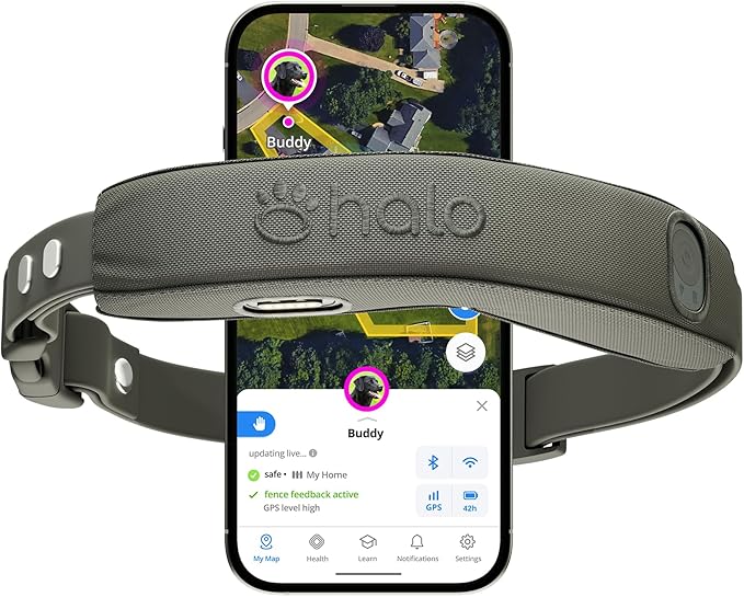 Halo Collar 5 Wireless Dog Fence & GPS Dog Collar, Keep Your Dog Safely Contained Outdoors with App-Controlled Boundaries and Real-Time Tracking, One Size, Graphite