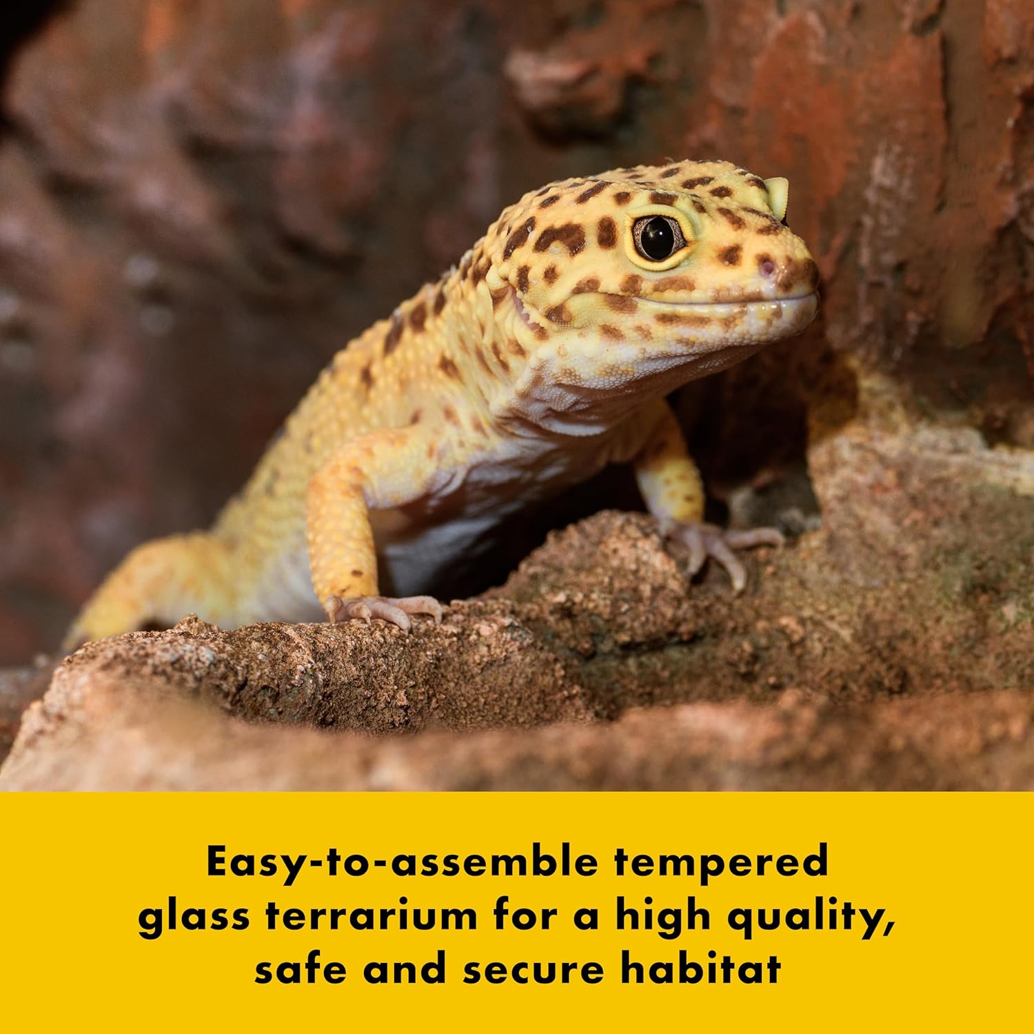 Zilla QuickBuild Reptile 20 Gallon Glass Terrarium Habitat with Bedding Tray For Geckos, Snakes, Lizards, Frogs, Turtles, and Tortoises, 30" x 12" x 12" - FurryFun
