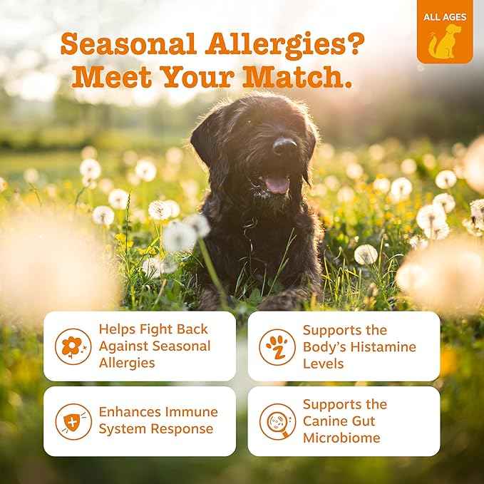 Zesty Paws Dog Allergy Relief Chews, Dog Probiotics for Itchy Skin and Ears, Lamb, 50ct (Pack of 2)
