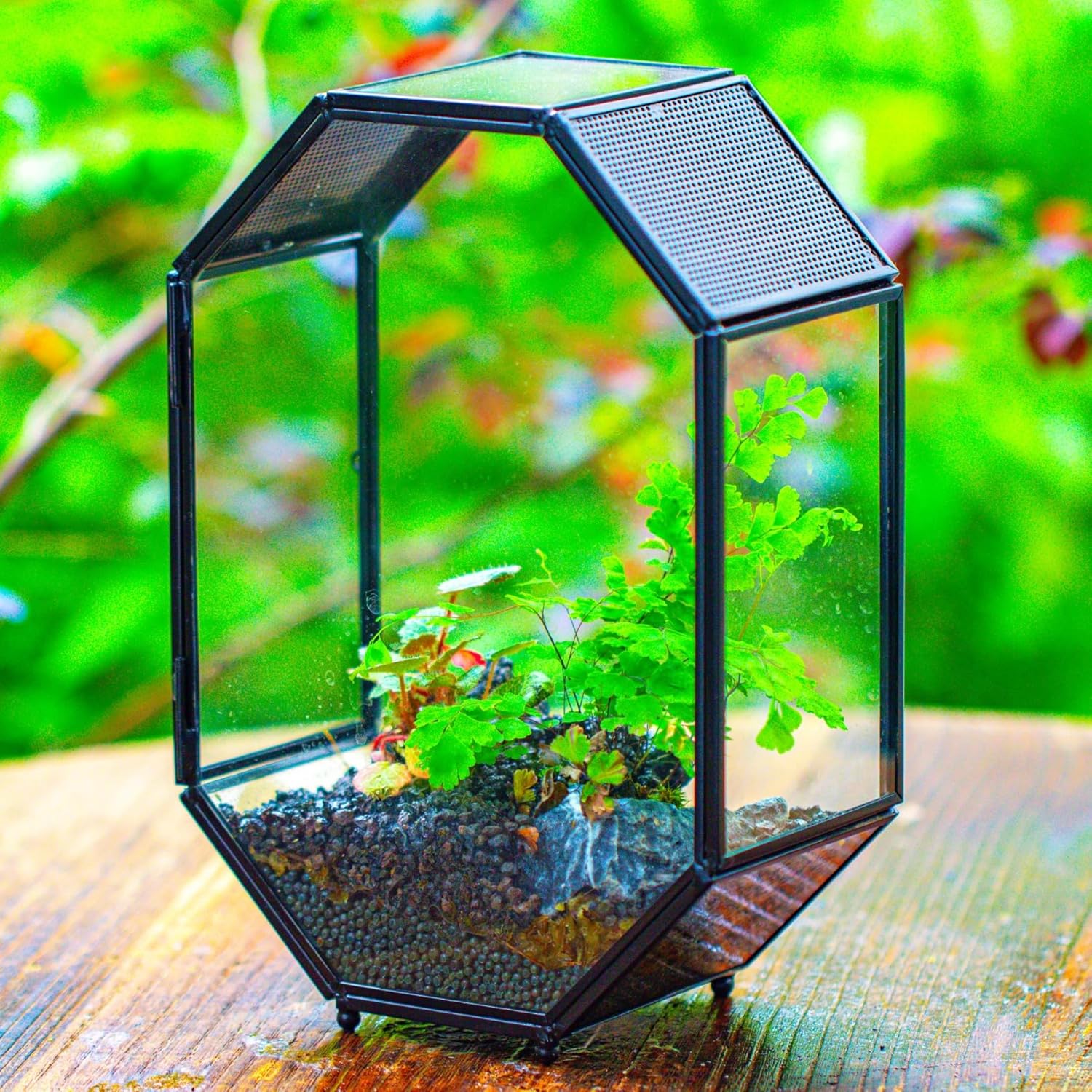 NCYP Glass Enclosure Terrarium with Mesh and Door for Jumping Spiders, Snails, Insects - Octagon Shape Small Succulents Terrarium 6.2 x 3.1 x 8.7 inches, Black Tabletop Decor (Plants Not Include) - FurryFun