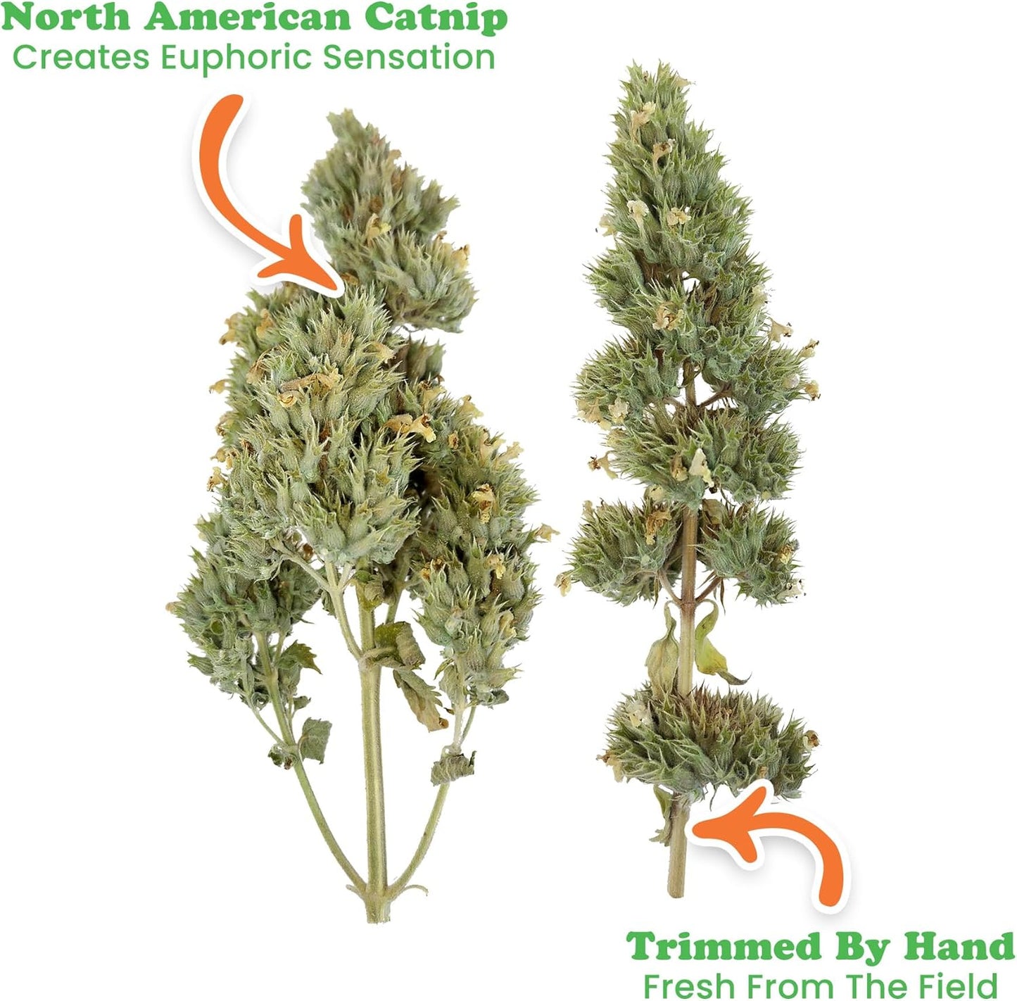 Meowijuana | Dried Catnip Buds Jar | Premium Organic Catnip | Grown in North America | Perfect for Cat Toys | Fresh Catnip for Extended Playtime | Elevate Your Cat's Enjoyment