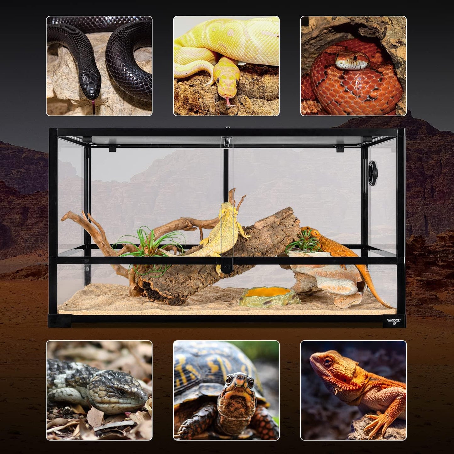 Large Reptile Tank 55 Gallon, 360°Full Vision Glass Reptile Terrarium with Top Mesh Lid for Beaded Dragon Lizard Gecko Snake Hermit Crab Use, 36"(W) X18(D) X20(H) - FurryFun