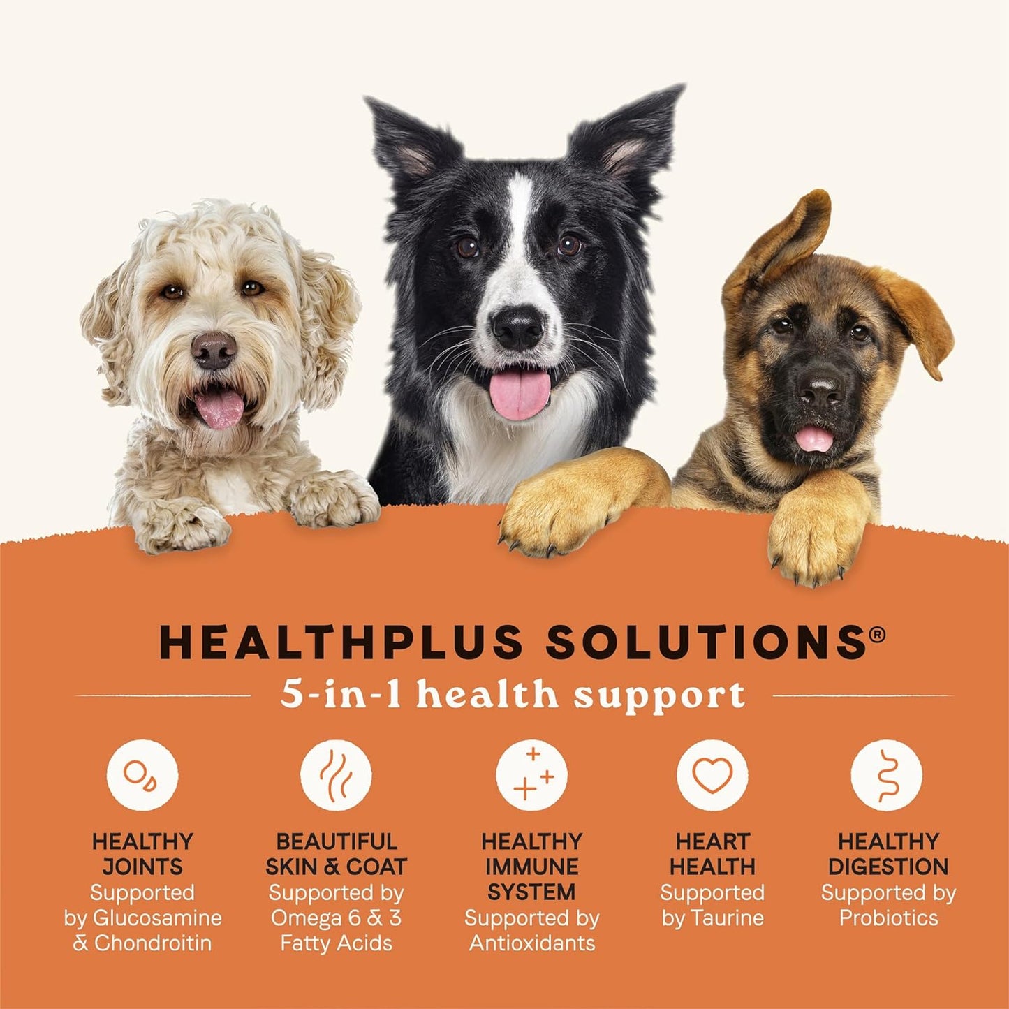 Canidae All Life Stages Real Salmon & Ancient Grains Recipe – High Protein Premium Dry Dog Food for All Ages, Breeds, and Sizes– 5 lbs.