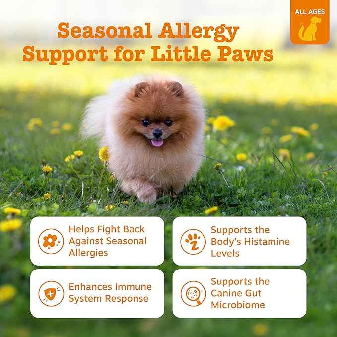 Zesty Paws Dog Allergy Relief Chews, Dog Probiotics for Itchy Skin and Ears, Lamb, Mini, 90ct