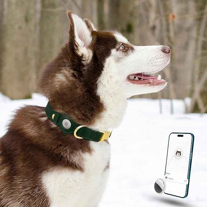 Leather Airtag Dog Collar - Soft Tracking Dog Collar with Apple AirTag Holder and Metal Buckle - Safety GPS Pet Collars for Small Medium Large Dogs Puppy Pink Red (Green, S, 12"-15" Neck Fit)
