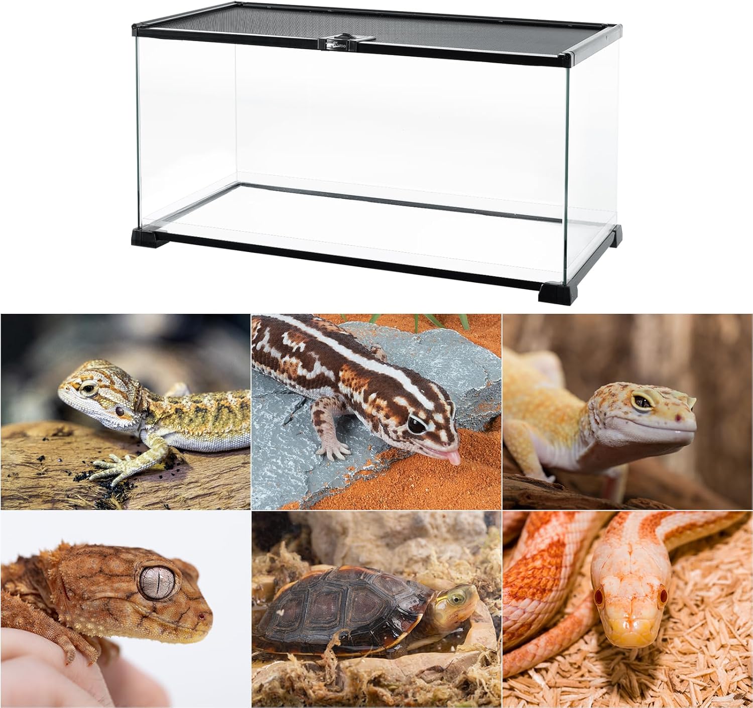 REPTI ZOO Full Glass 15 Gallon Reptile Tank, Medium Reptile Terrarium 24" X 12" X 12" for Gecko Hermit Crab Hognose Snake etc, Top Screen Ventilation & Feeding - FurryFun