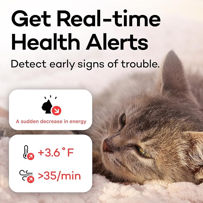Health Tracker for Cats - Smart Cat Collar with Safety Breakaway Buckle for Indoor Cats, Wellness Alerts, Real-time Monitoring (Kimono (Sakura -Night-),L)