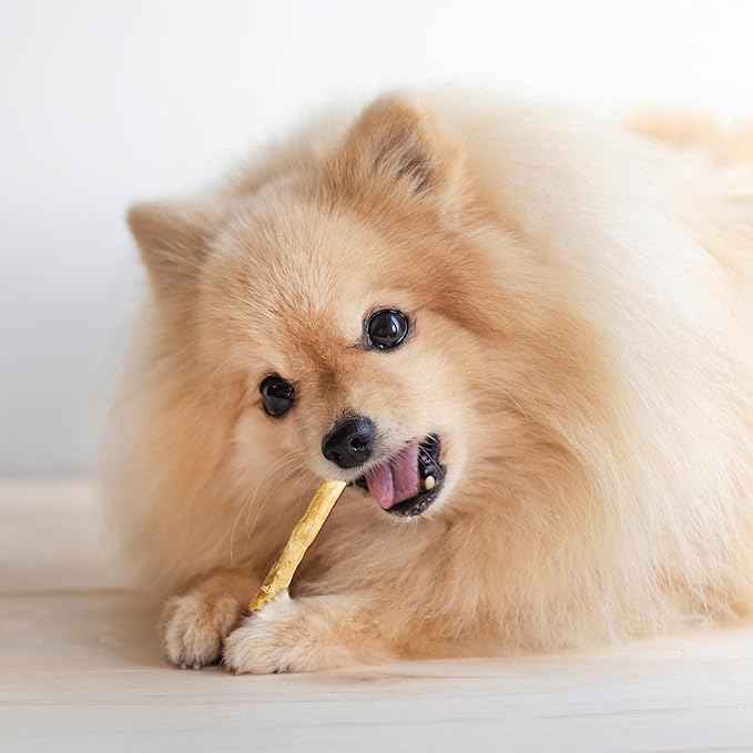 Fieldcrest Farms Nothin' to Hide Twist Stix, Beef Flavor – Easily Digestible Dog Chews, Supports Skin, Coat, Joints & Muscles, for Moderate Chewers Under 15 lbs, 100 Total Pieces