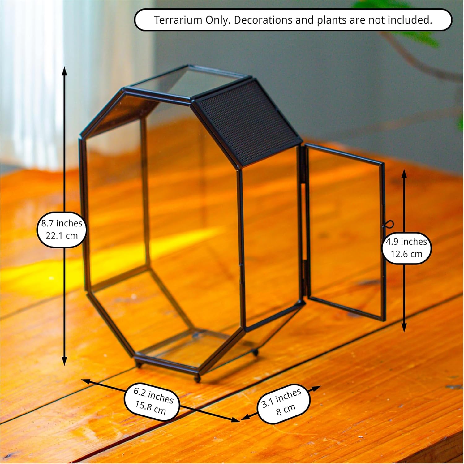 NCYP Glass Enclosure Terrarium with Mesh and Door for Jumping Spiders, Snails, Insects - Octagon Shape Small Succulents Terrarium 6.2 x 3.1 x 8.7 inches, Black Tabletop Decor (Plants Not Include) - FurryFun
