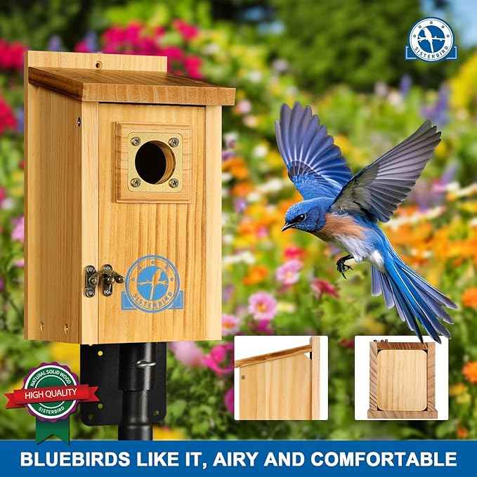 Pack of 2 Premium Bluebird Houses for Outside, Assembled Bird House Gift, Garden Decoration Bluebird House, Copper Predator Guard, Easy to Clean Bird Nesting