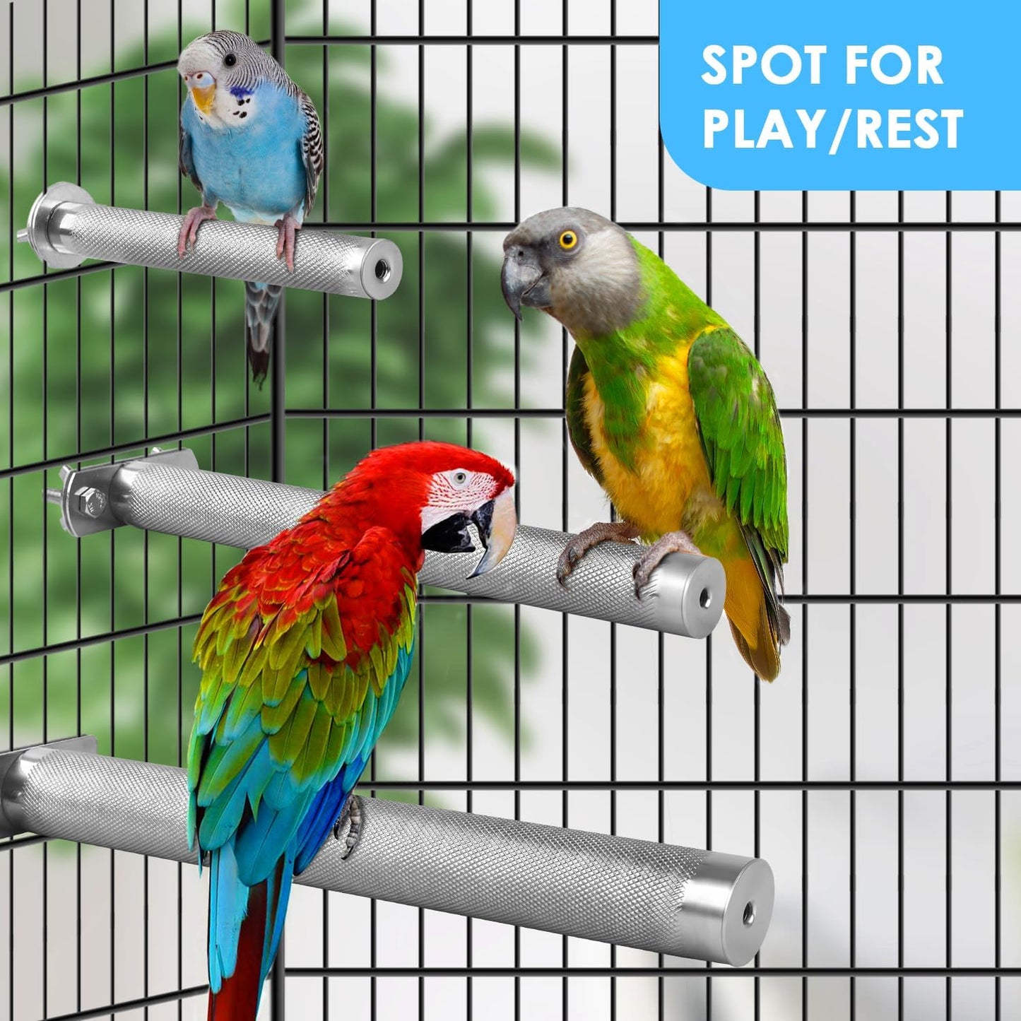 KATUMO Parrot Perch - Stainless Steel African Grey Perch Bird Cage Accessories for Small to Large Parrots (11.8 x 1.2 inch)