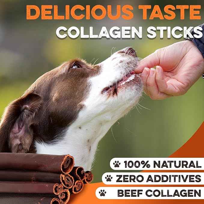 BRUTUS & BARNABY Beef Collagen Sticks for Dogs-Great Long Lasting Chew for All Dog Breeds-Odor Free, With Naturally Occurring Glucosamine & Chondroitin for Joint Health-Great for Any Dog Size(5 Count)