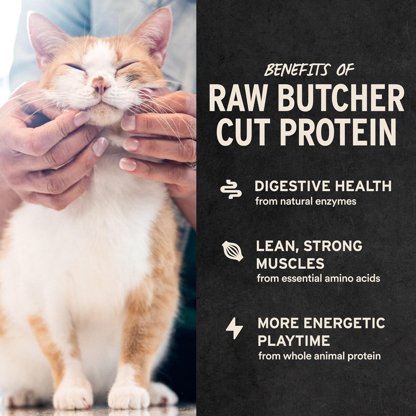 Vital Essentials Chicken Breast Cat Treats, 1 oz | Freeze-Dried Raw | Single Ingredient | Grain Free, Gluten Free, Filler Free
